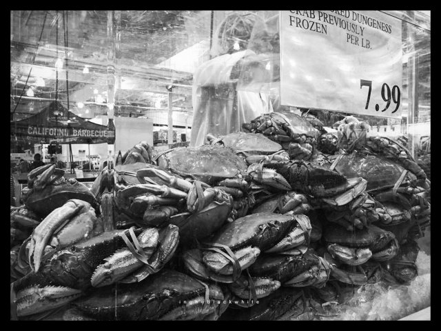 dcf-travel-img-28983